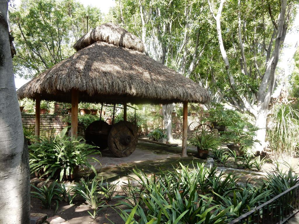 Hôtel Las Calandrias à Atlixco Extérieur photo